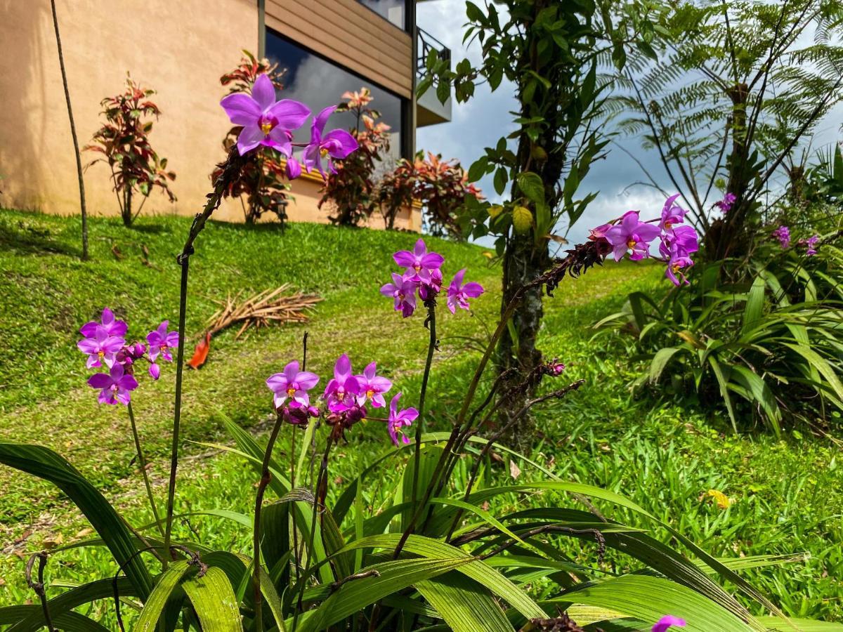 Retiro Del Lago Arenal Lodge El Castillo Екстериор снимка